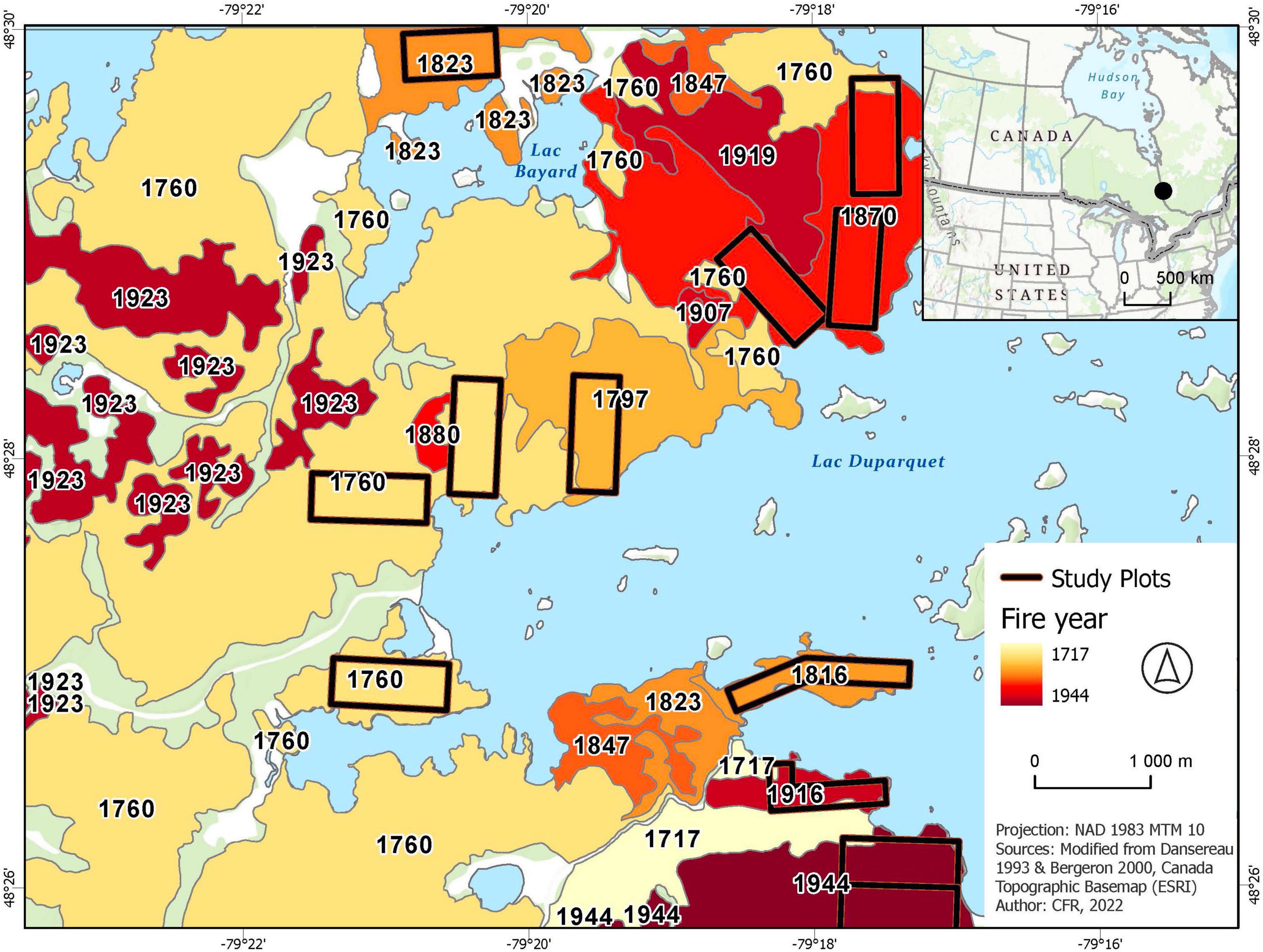 Old forest structural development drives complexity of nest webs in a naturally disturbed boreal mixedwood forest landscape